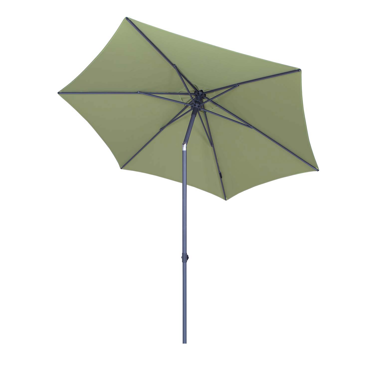Lugo sage 300cm gekanteld